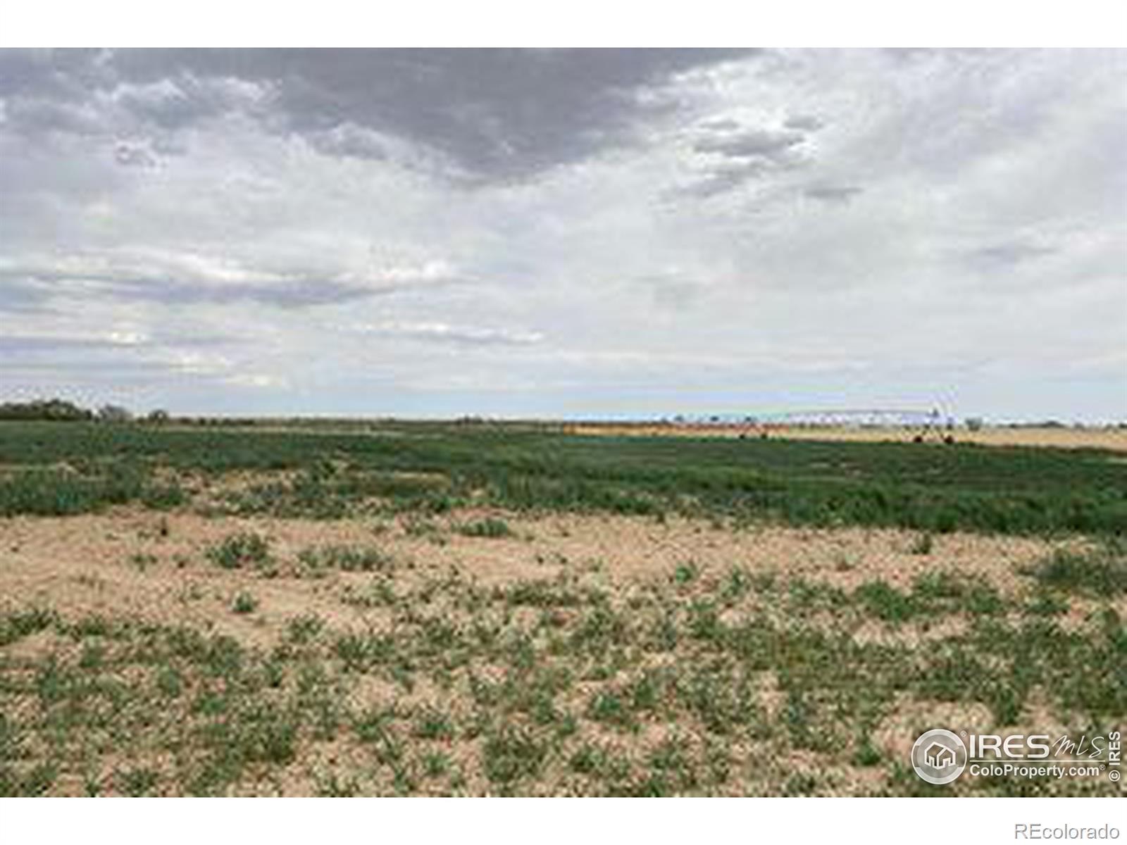 Photo of Listing #IR1011971