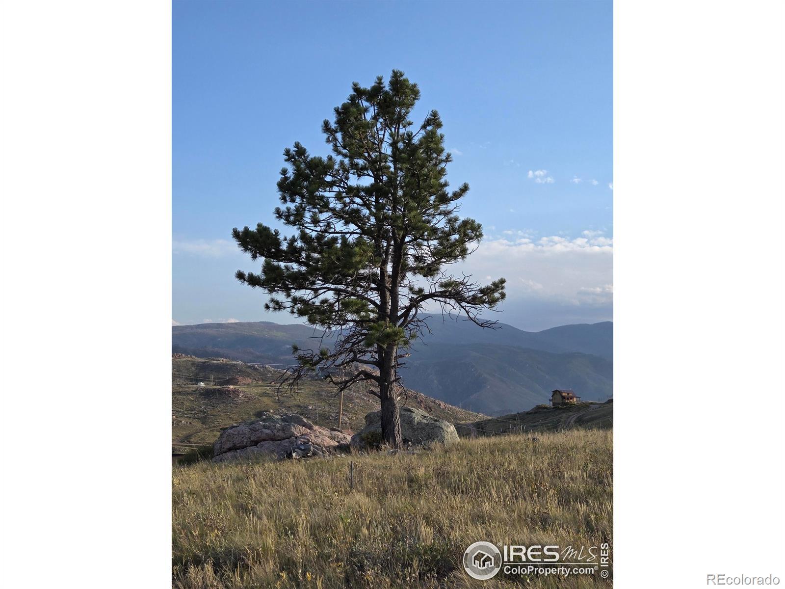 Photo of Listing #IR1018682