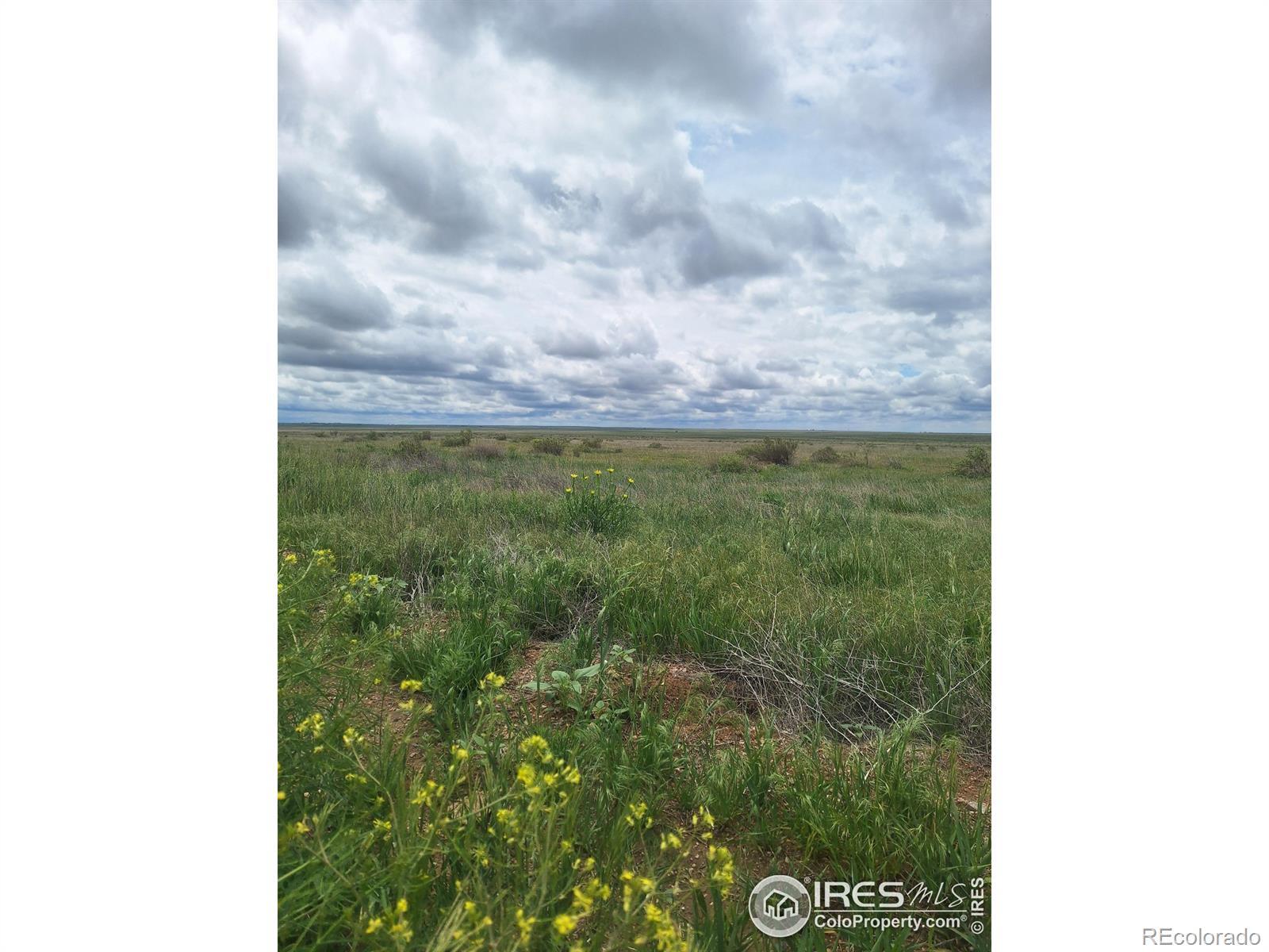 Photo of Listing #IR1021594