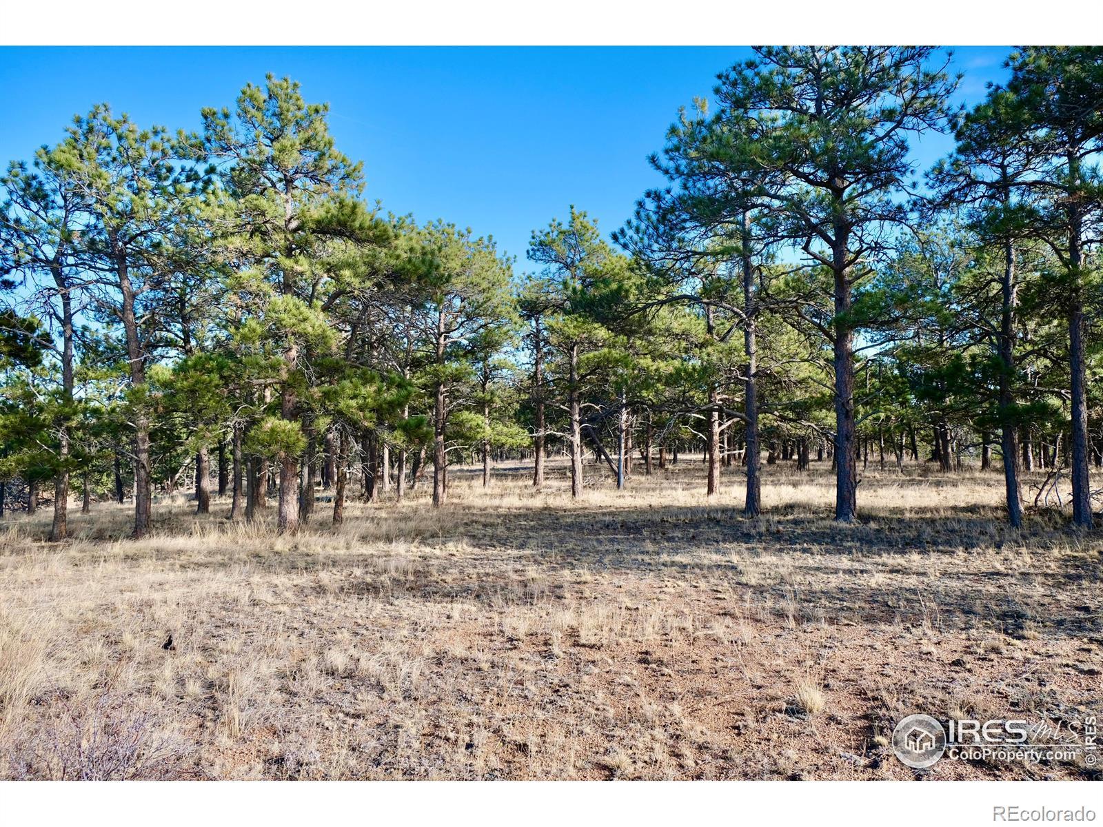 Photo of Listing #IR1022785