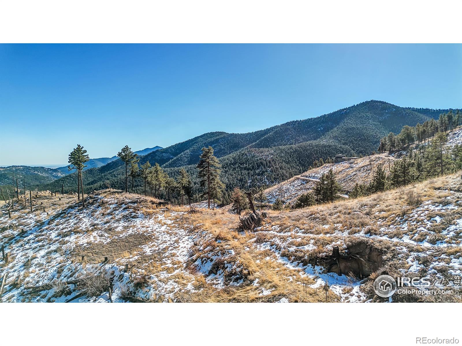 Photo of Listing #IR1024061