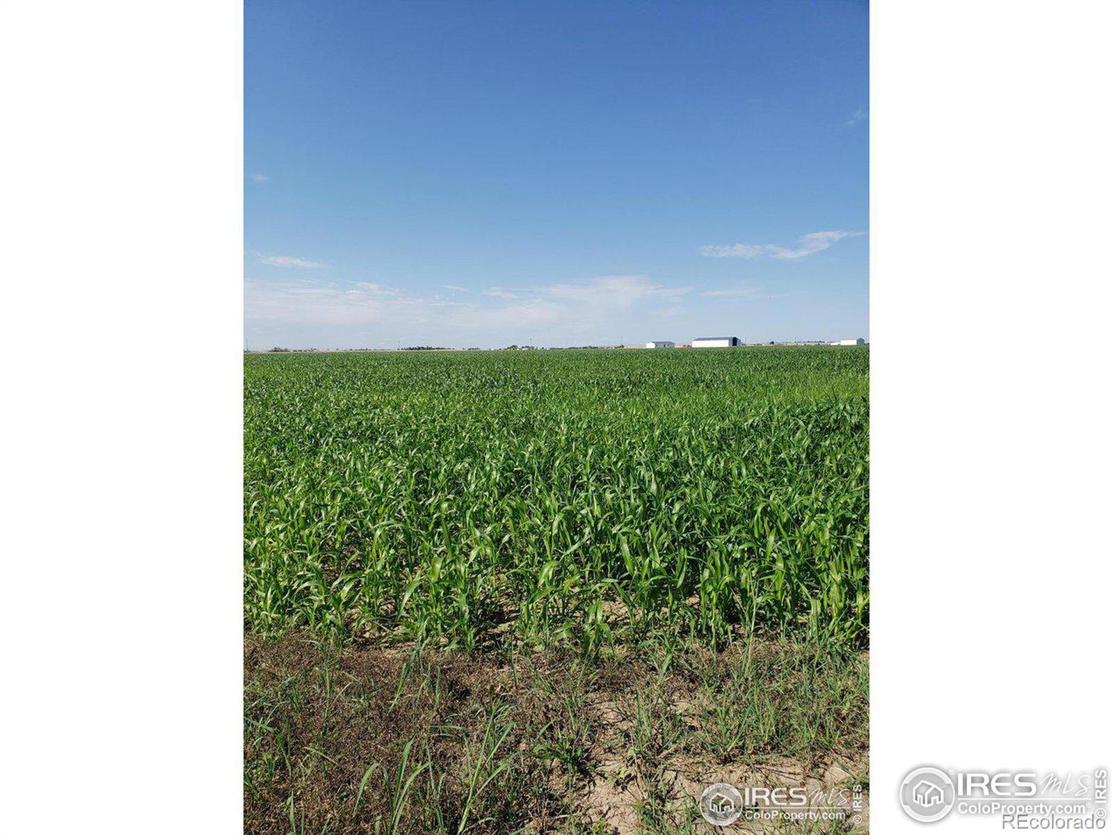 Photo of Listing #IR1024351