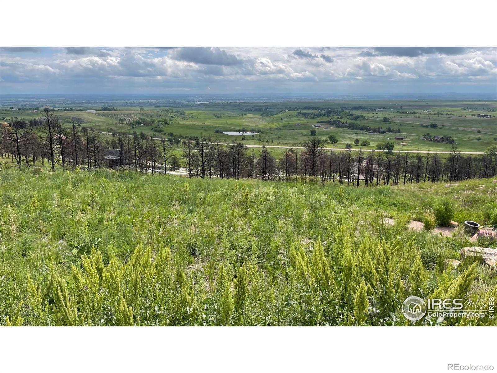 Photo of Listing #IR1025875