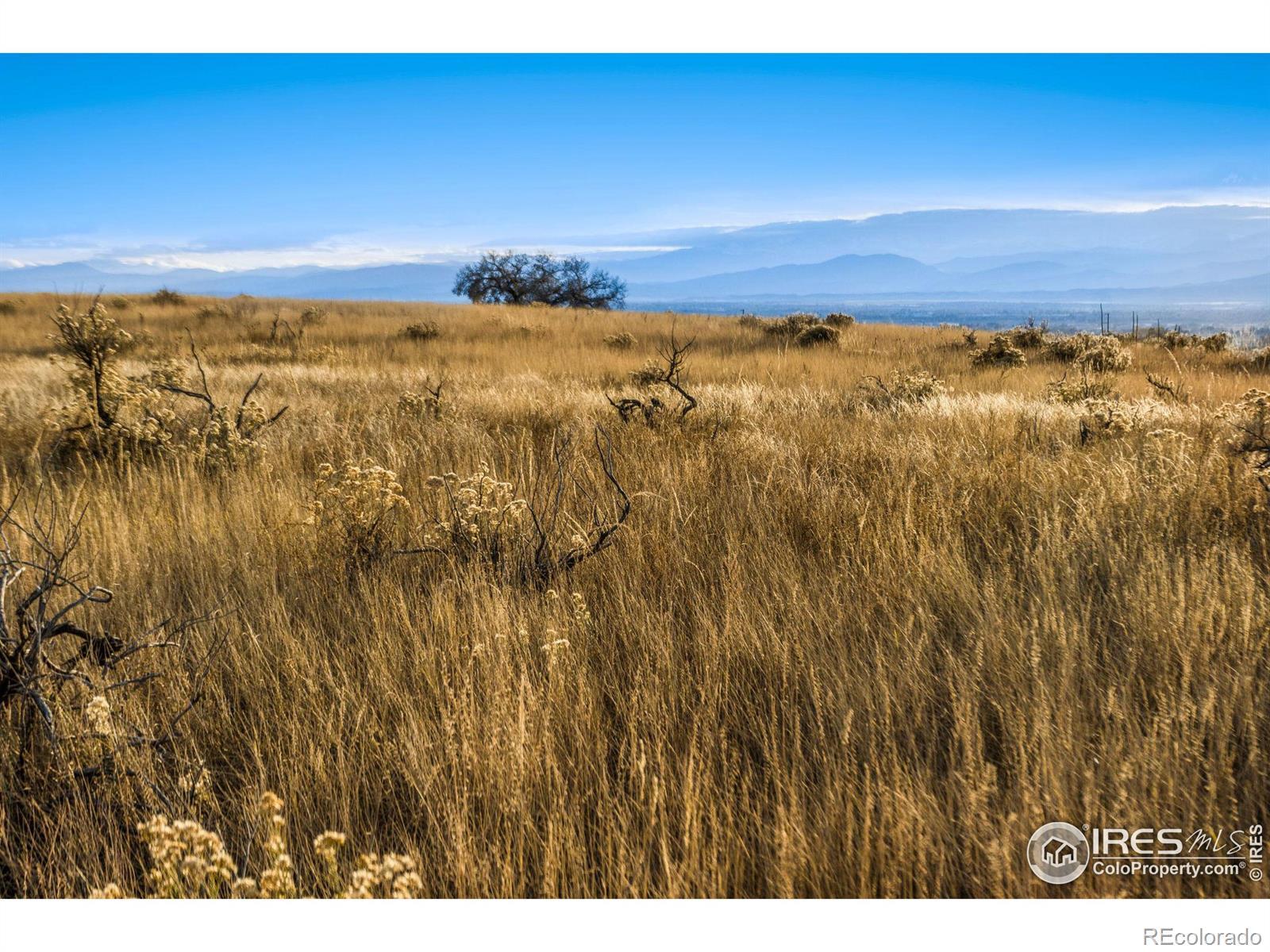 Photo of Listing #IR1027828