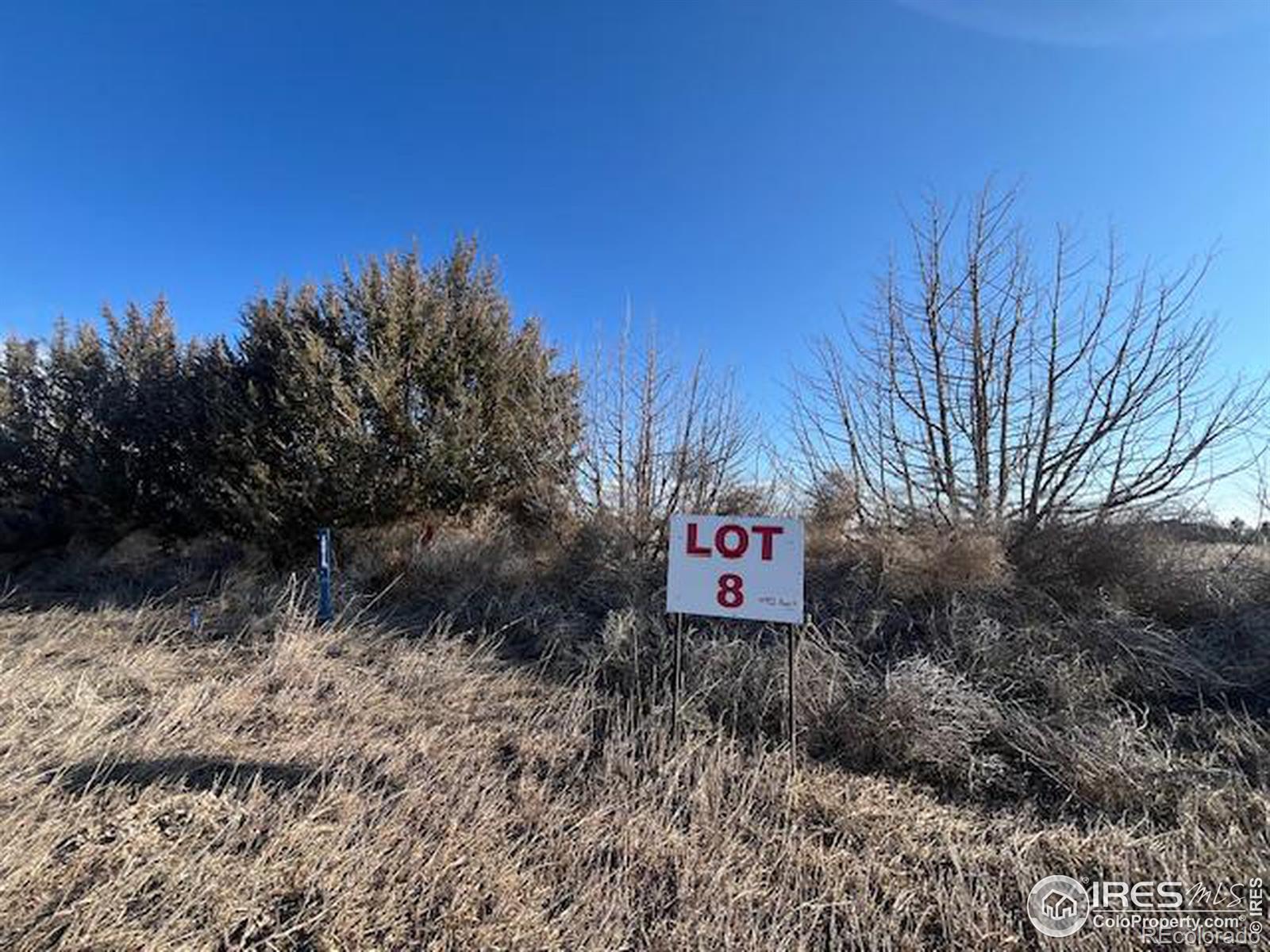 Photo of Listing #IR1028004