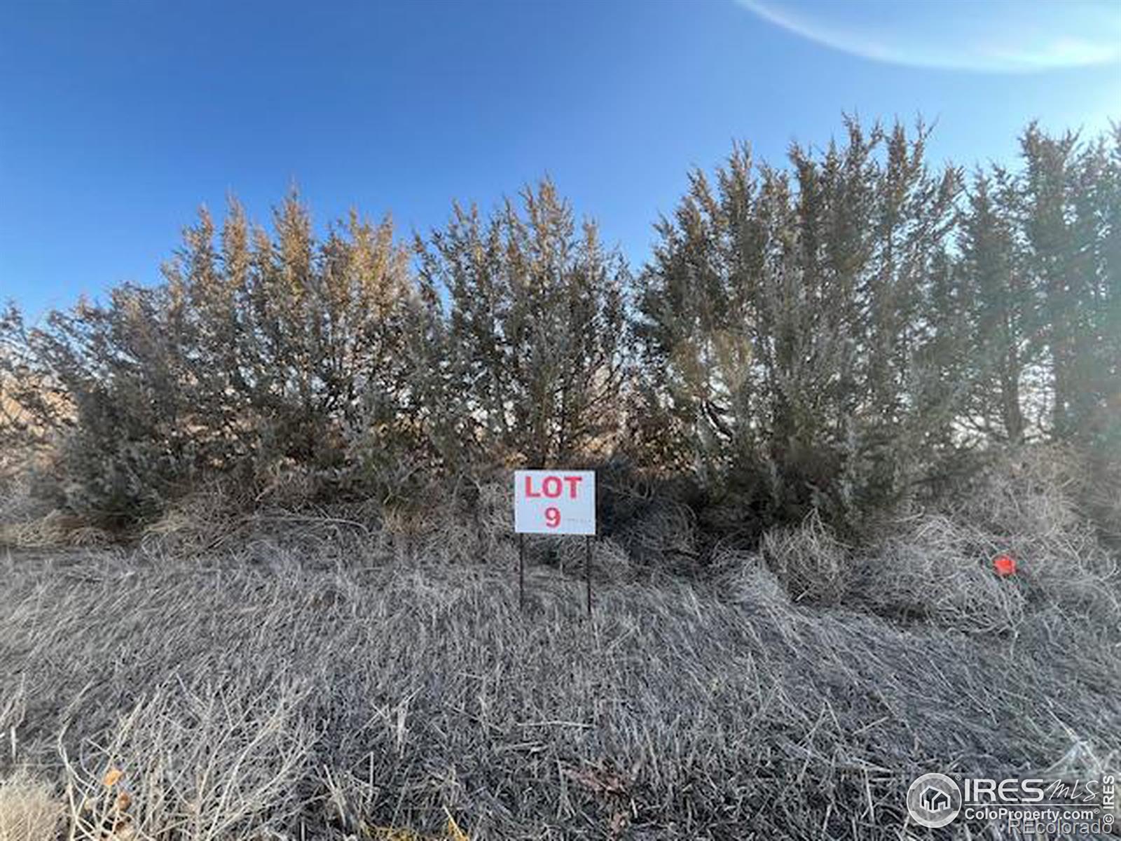 Photo of Listing #IR1028008