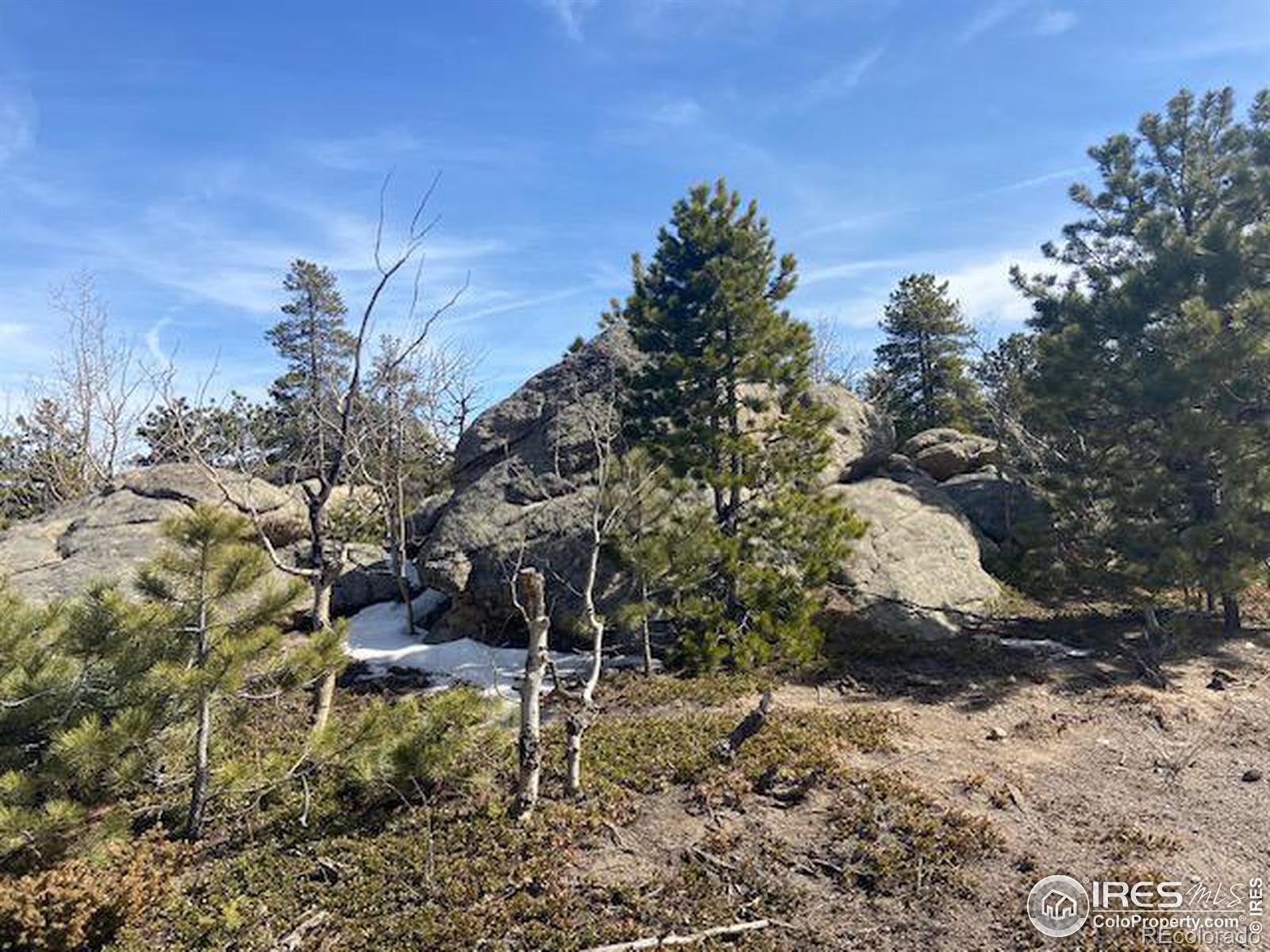 Photo of Listing #IR1028051