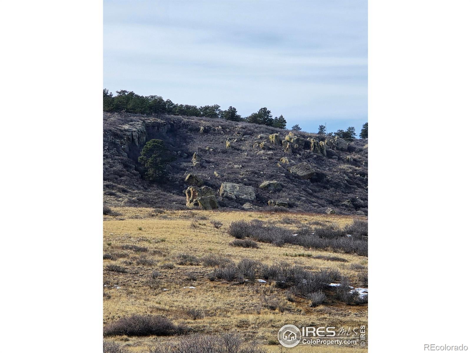 Photo of Listing #IR1030142