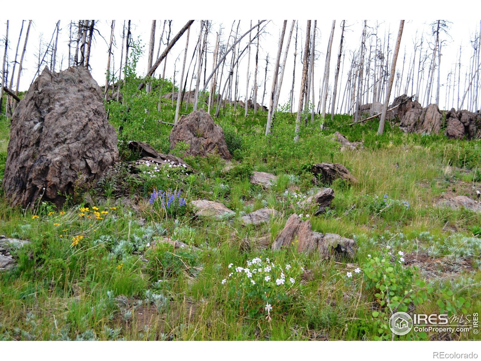 Photo of Listing #IR1031774