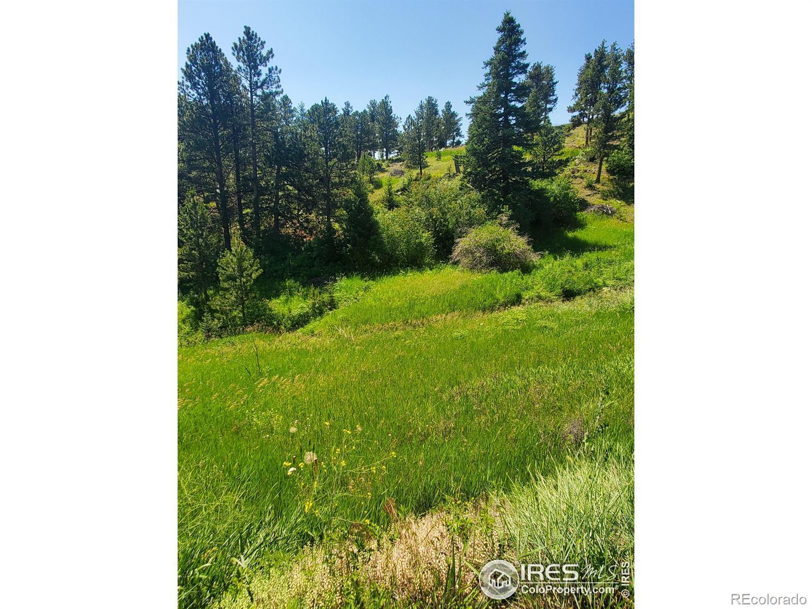 Photo of Listing #IR1032139