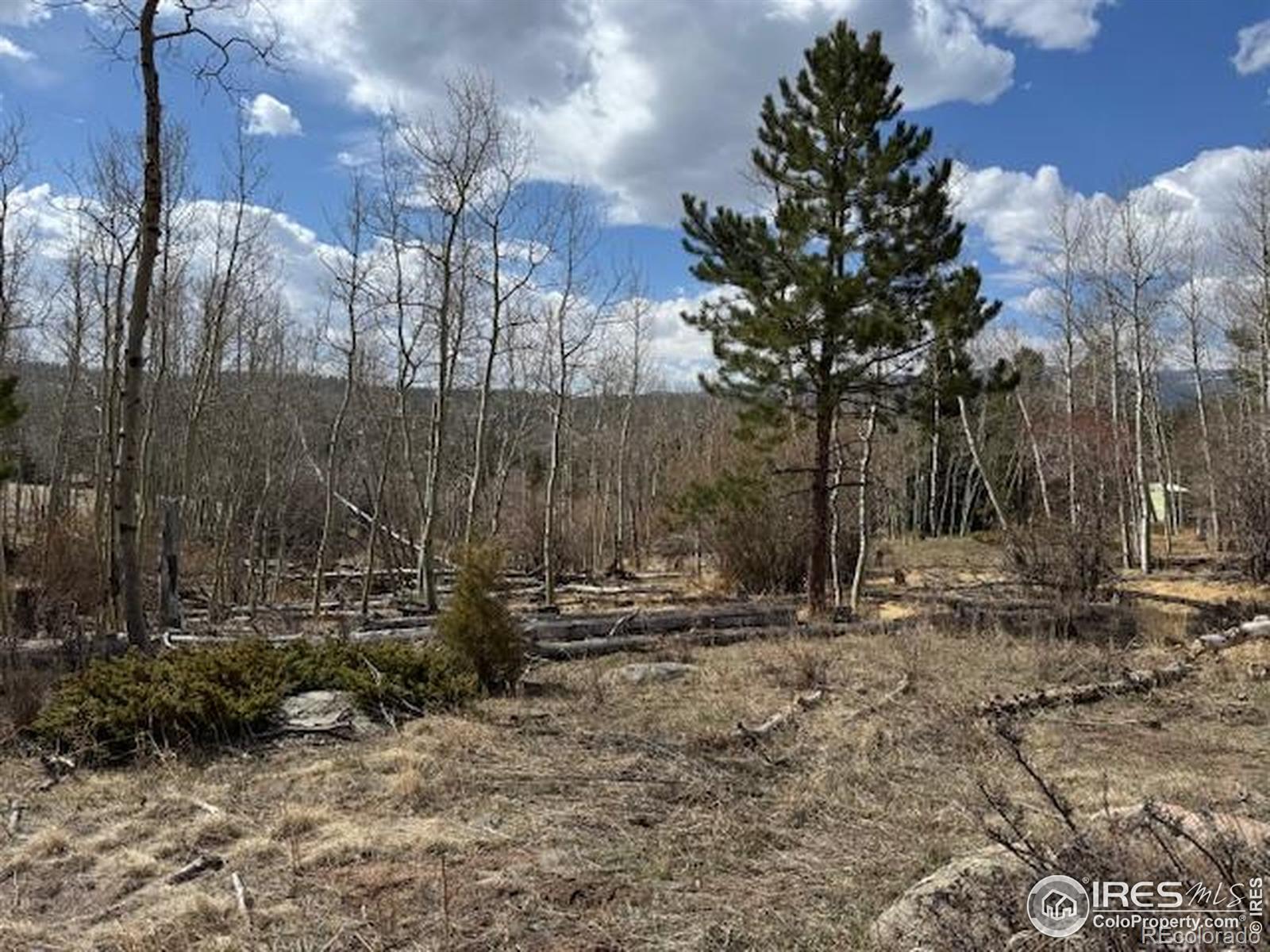 Photo of Listing #IR1032196