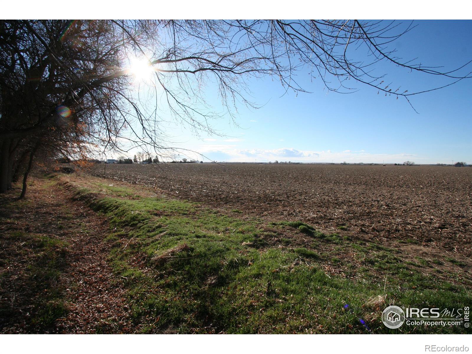 Photo of Listing #IR1032927