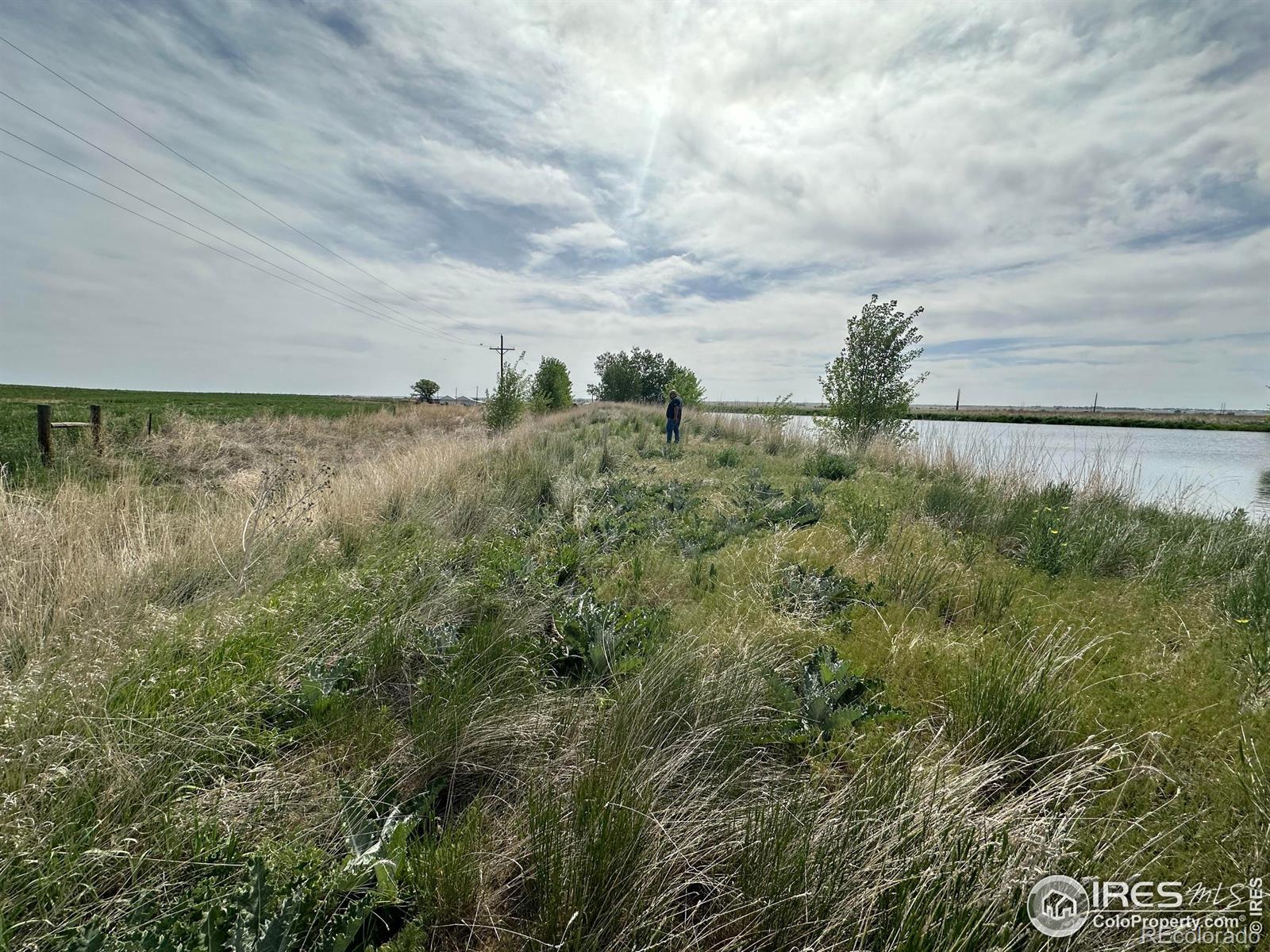 Photo of Listing #IR1034196