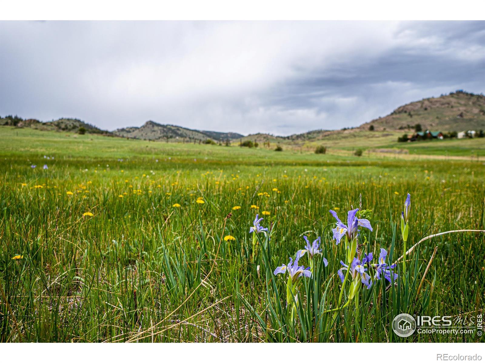 Photo of Listing #IR1034430