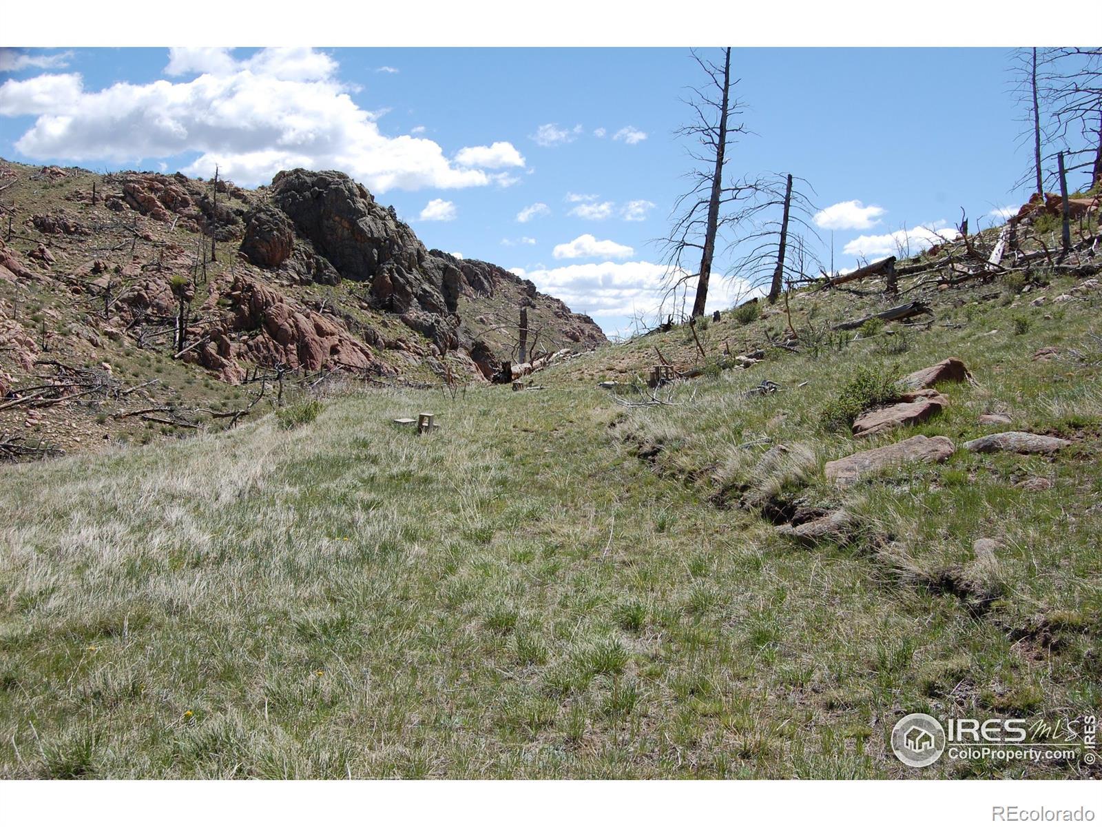 Photo of Listing #IR1034686