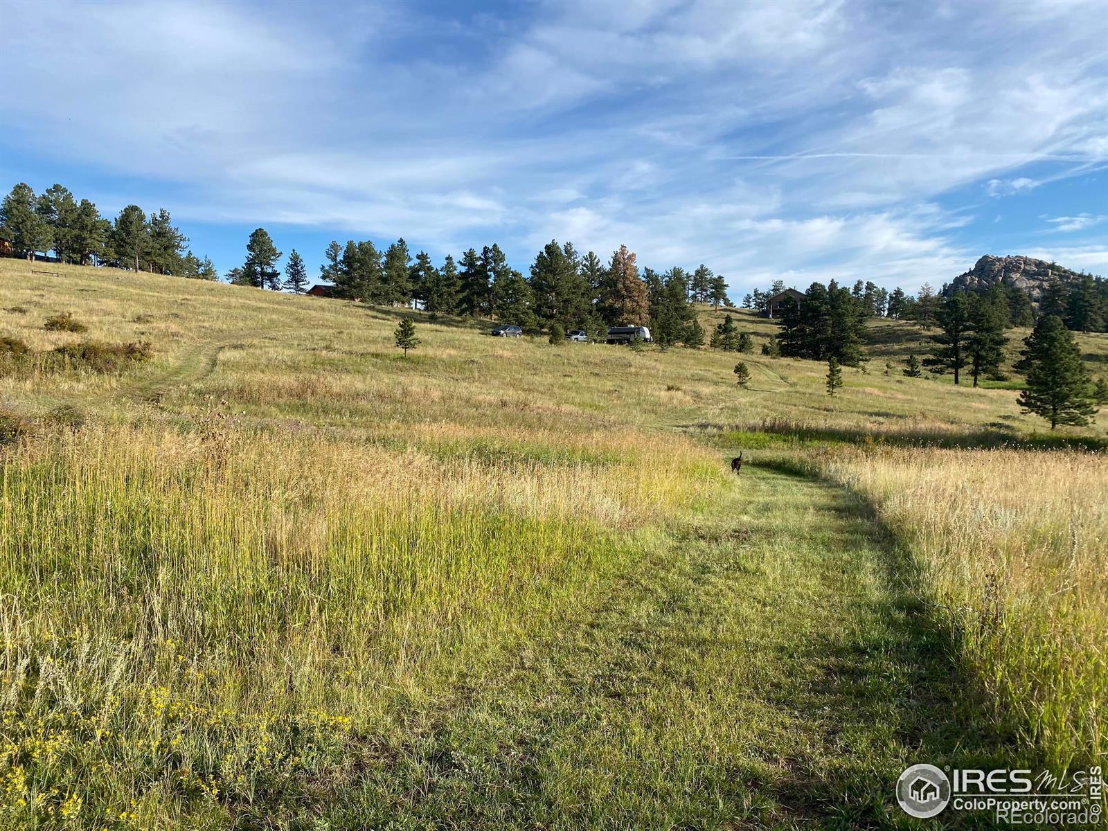 Photo of Listing #IR1035051