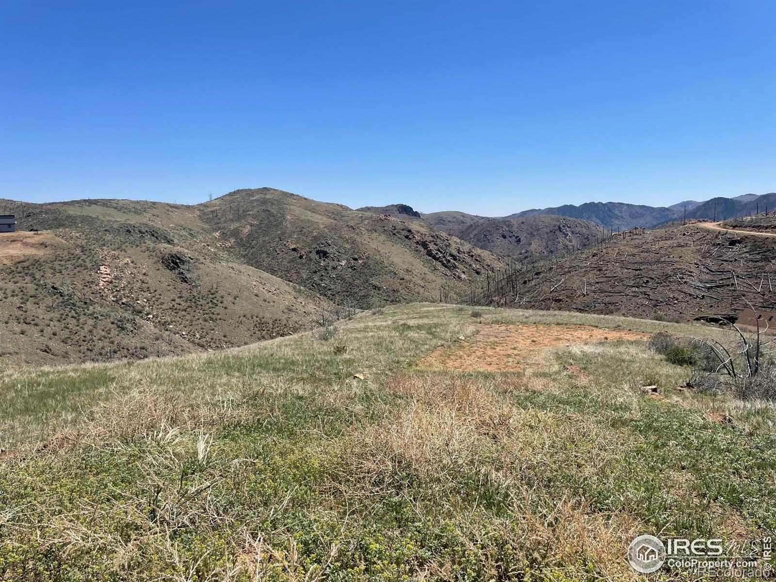 Photo of Listing #IR1038019