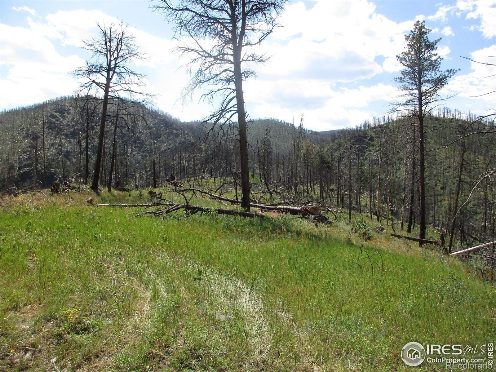 Photo of Listing #IR1040235