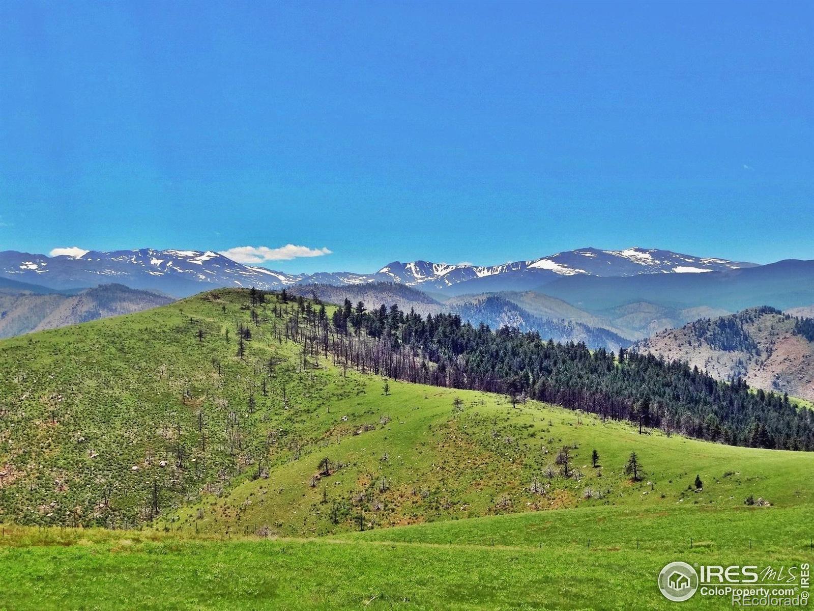 Photo of Listing #IR1040696