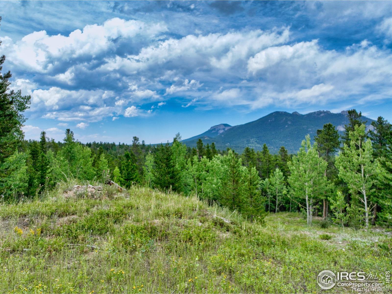 Photo of Listing #IR1040780