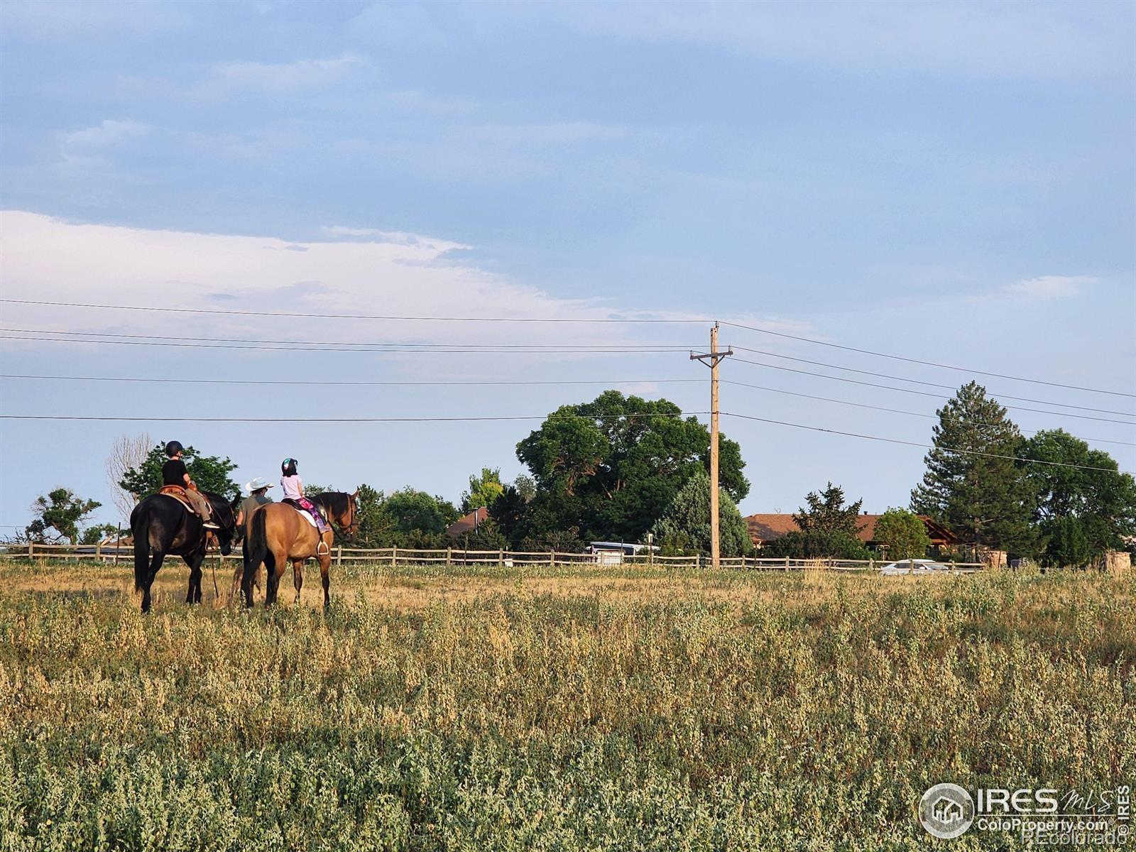 Photo of Listing #IR1041056