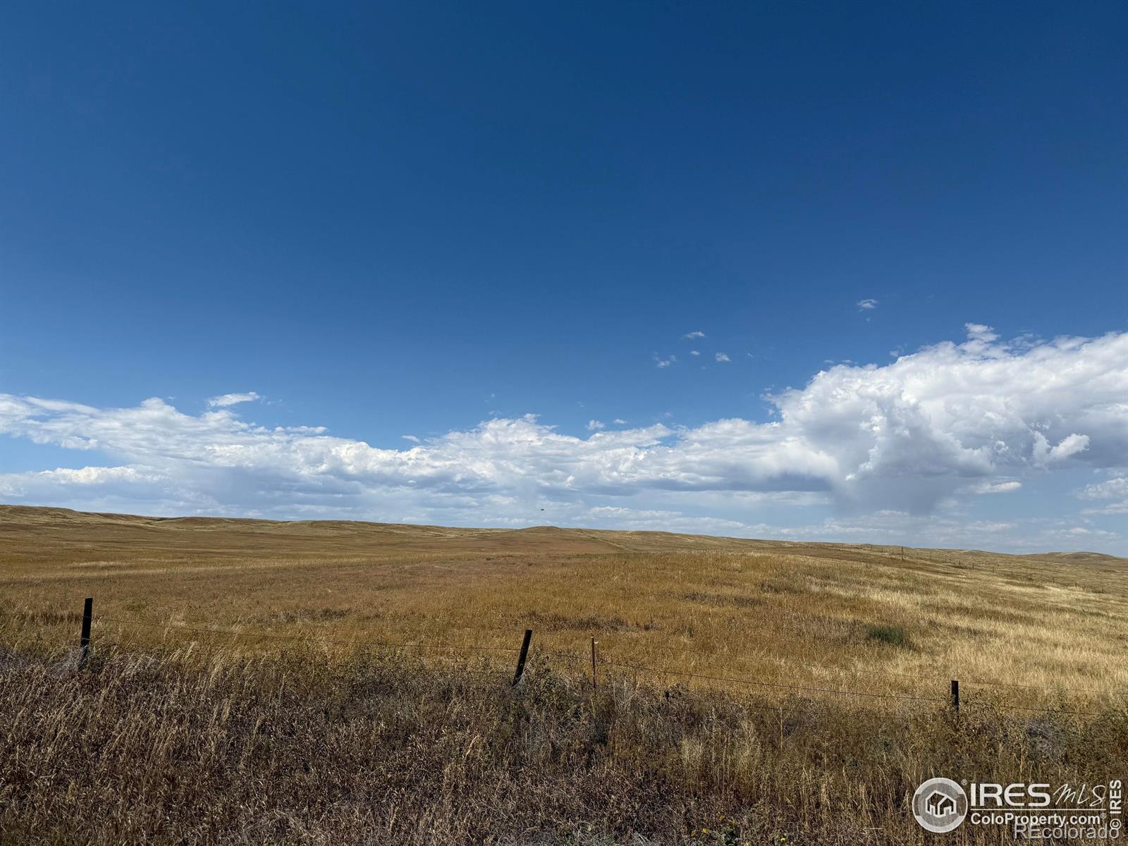 Photo of Listing #IR1042209