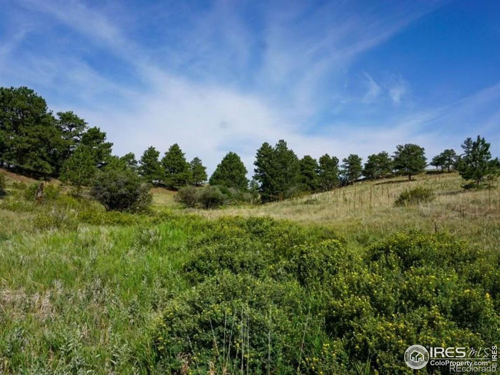 Photo of Listing #IR1042704