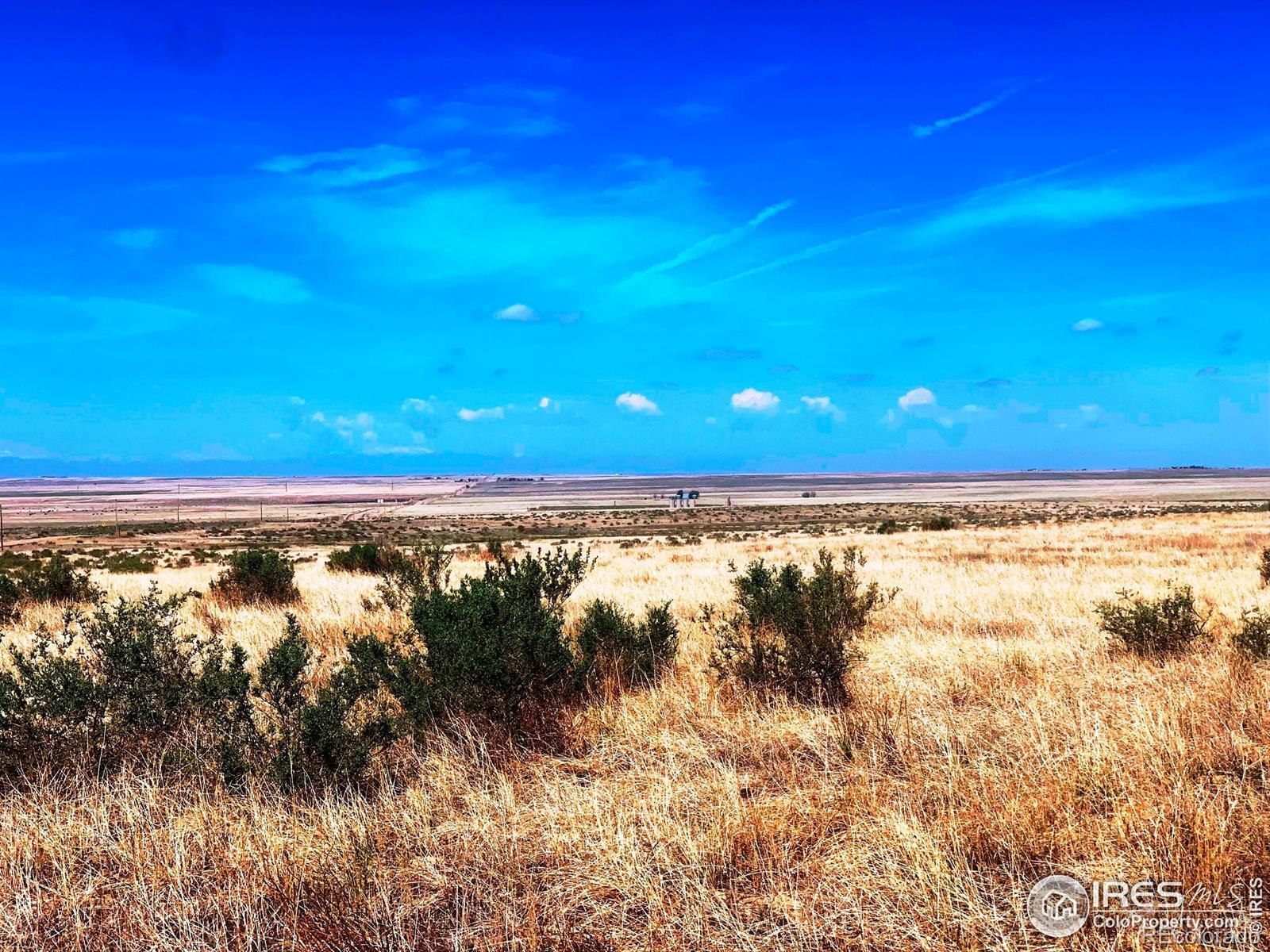 Photo of Listing #IR1043209