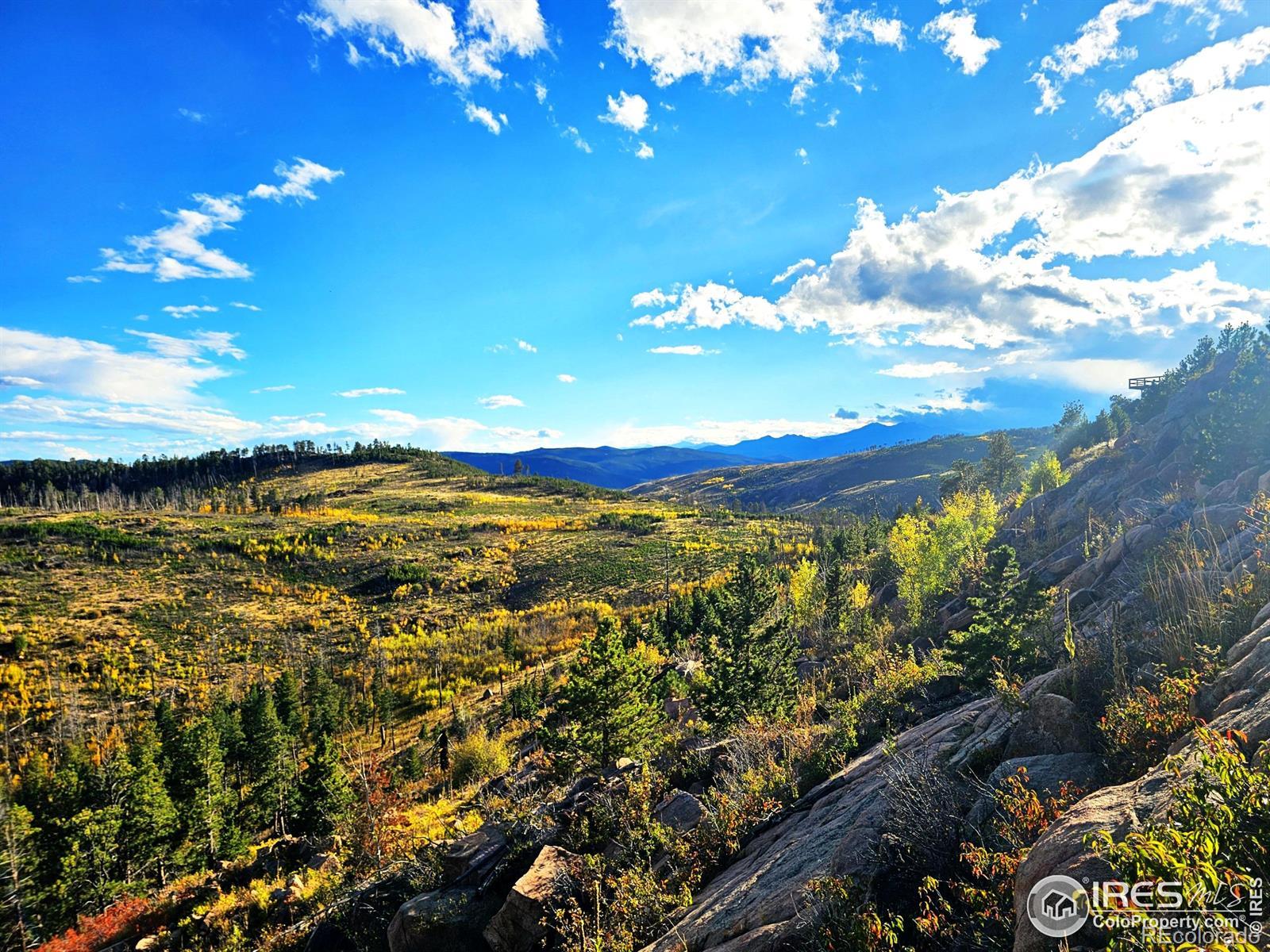 Photo of Listing #IR1043293