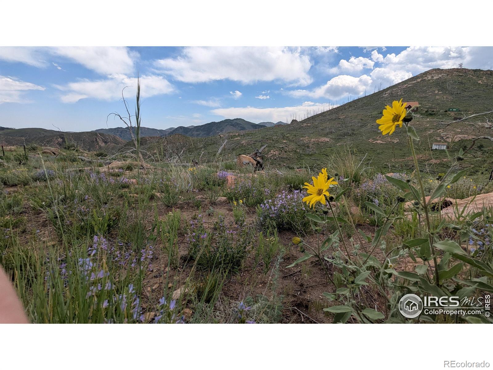 Photo of Listing #IR1043360