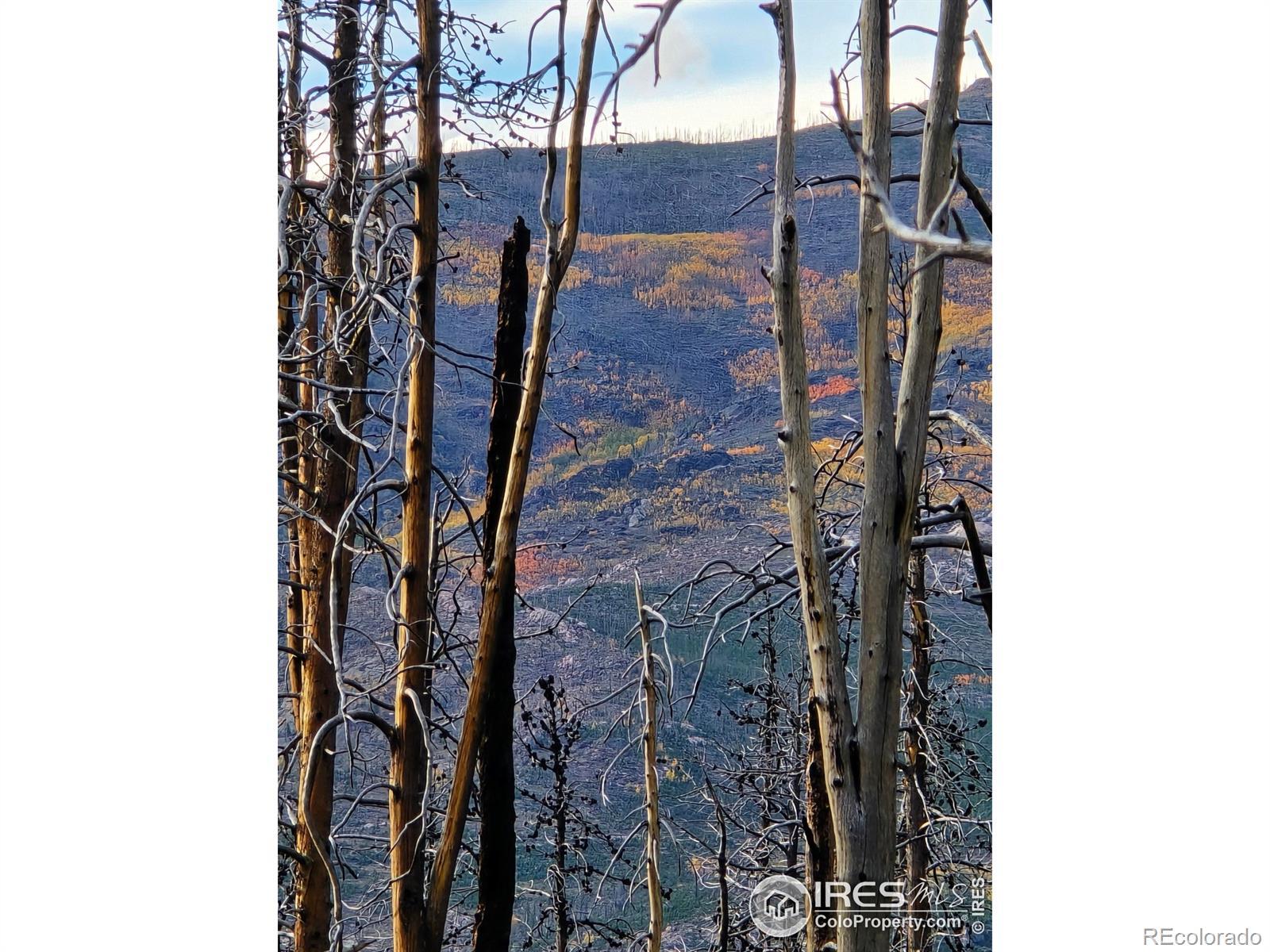 Photo of Listing #IR1044964