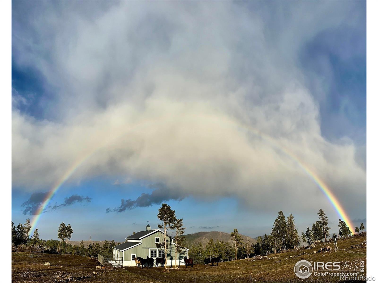 Photo of Listing #IR1045239