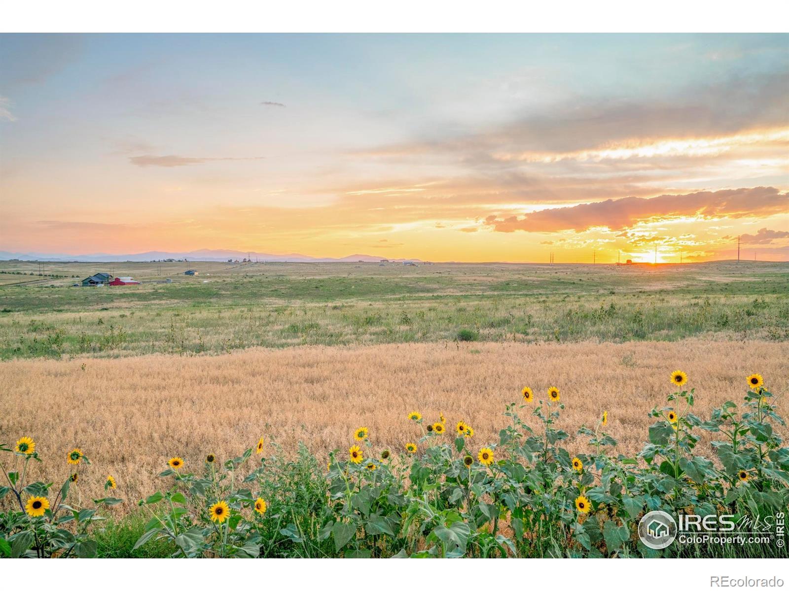 Photo of Listing #IR1045264