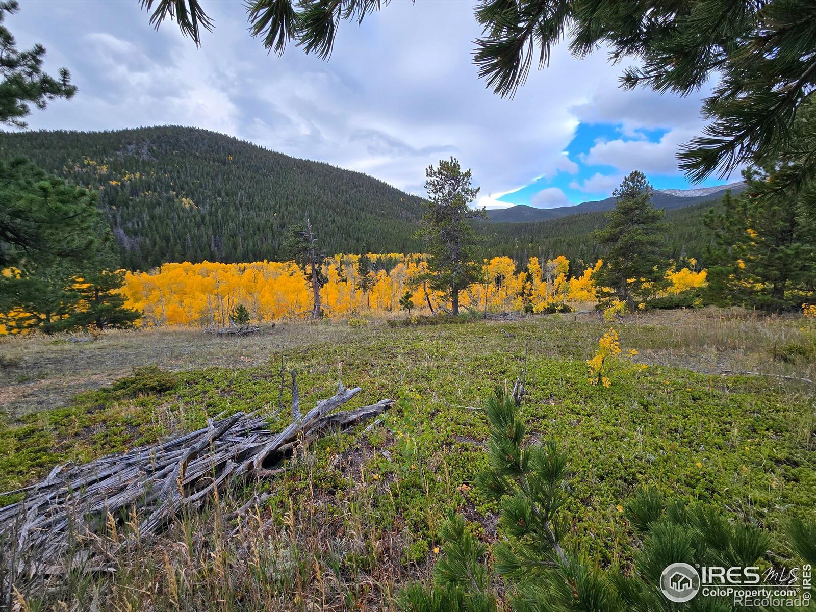 Photo of Listing #IR1045318