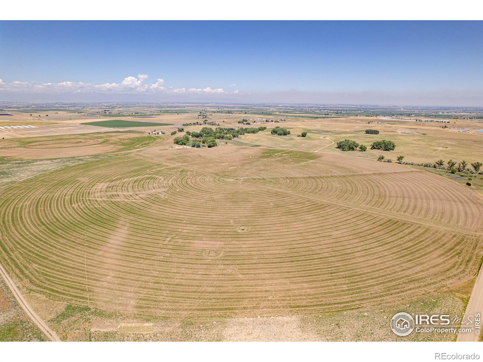 Photo of Listing #IR1045426