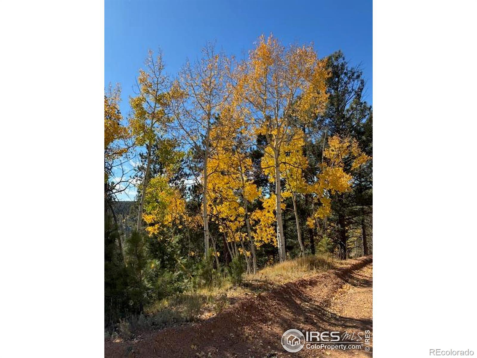 Photo of Listing #IR1045703