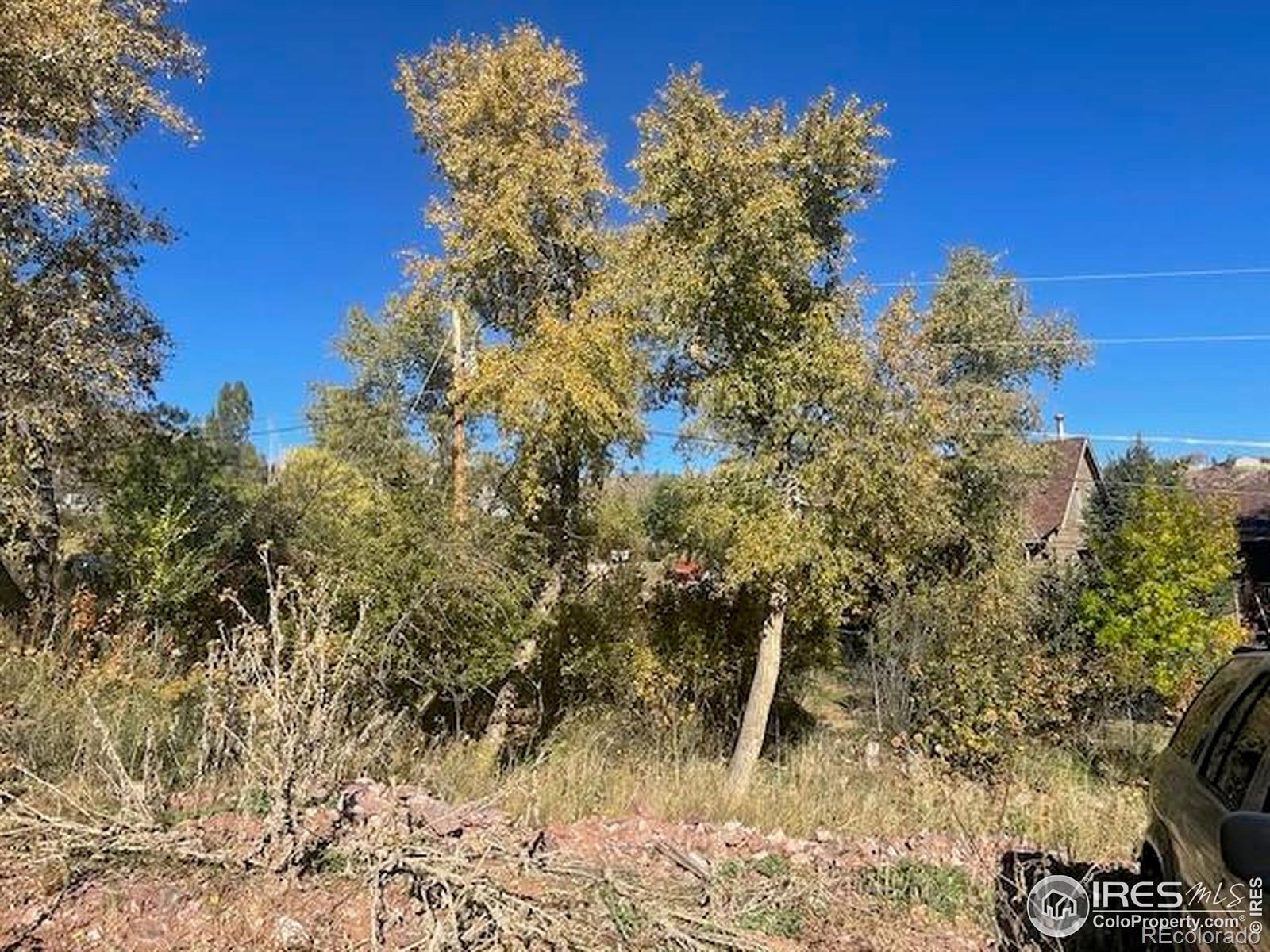 Photo of Listing #IR1046191