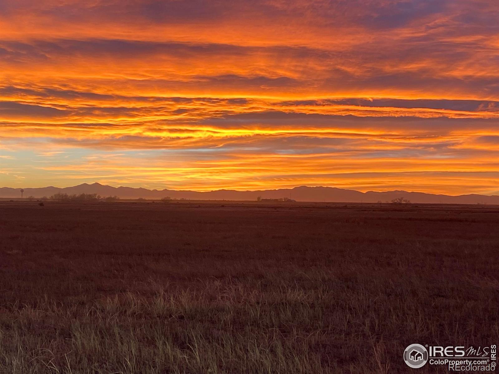 Photo of Listing #IR1047442