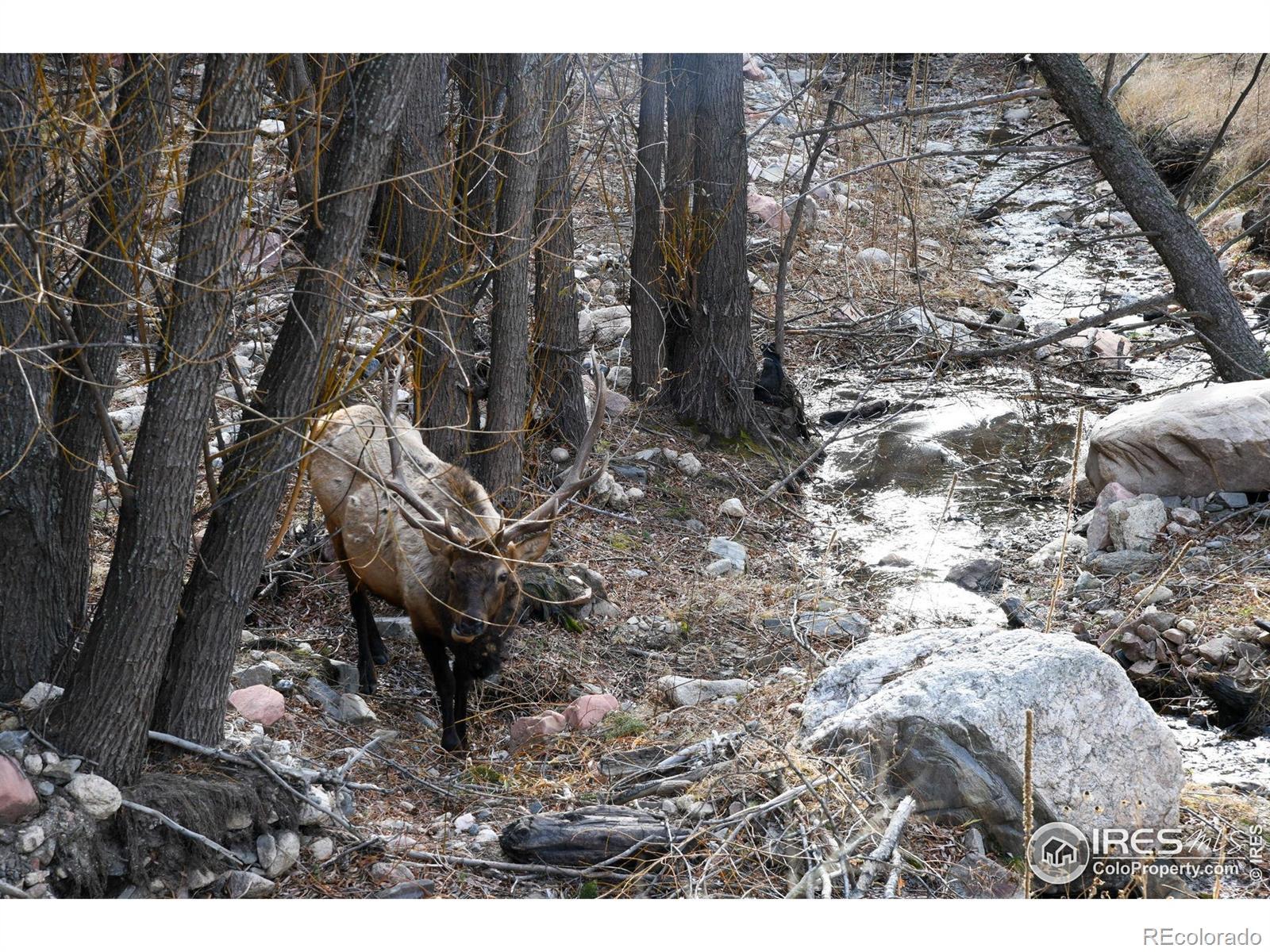 Photo of Listing #IR1048522