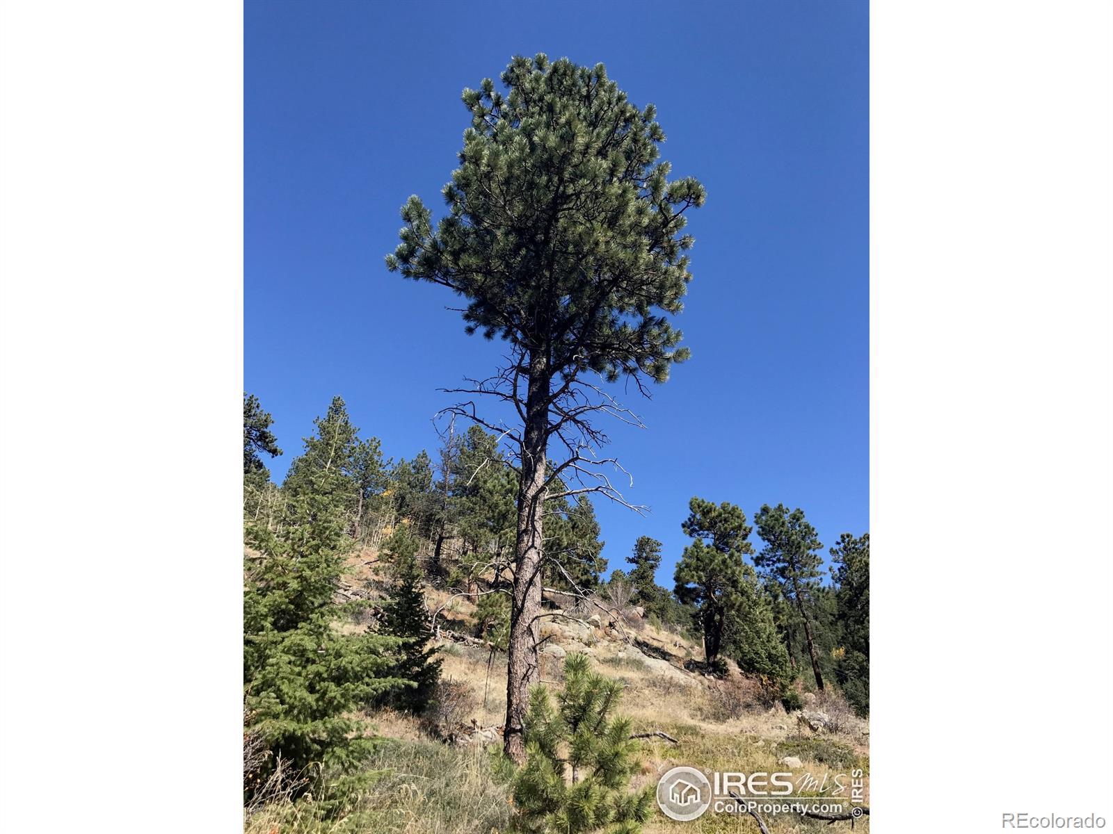 Photo of Listing #IR1048753