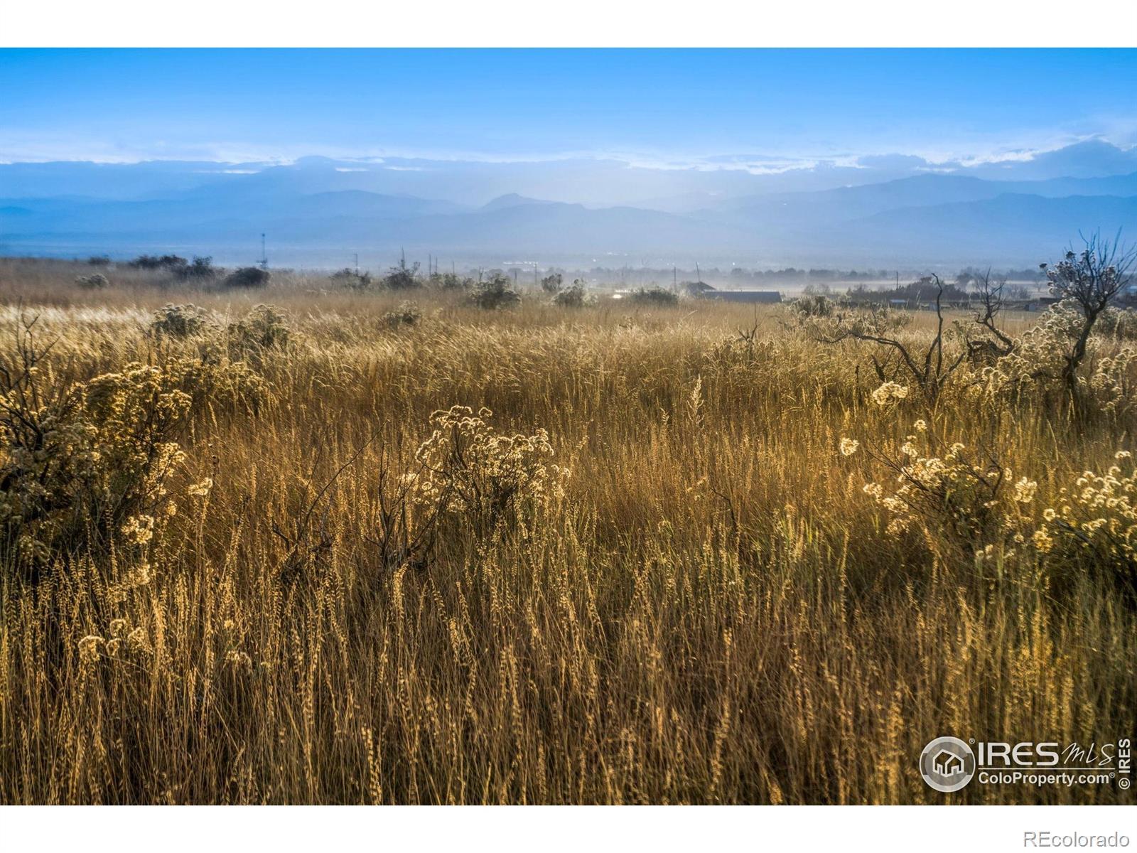 Photo of Listing #IR1050334