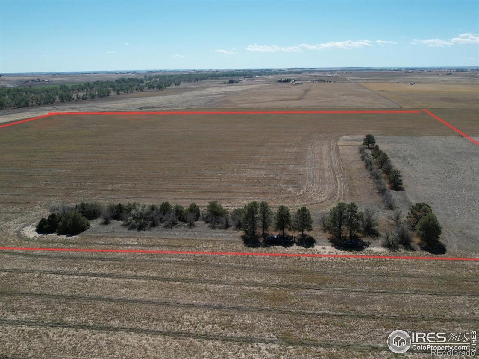 Photo of Listing #IR1050662