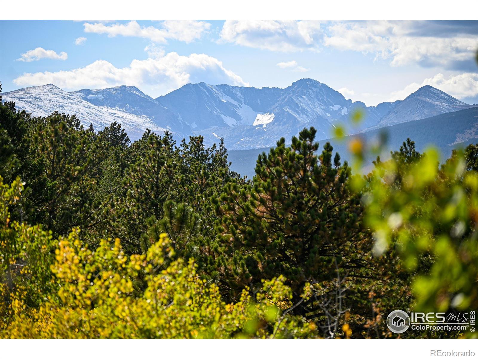 Photo of Listing #IR1050982