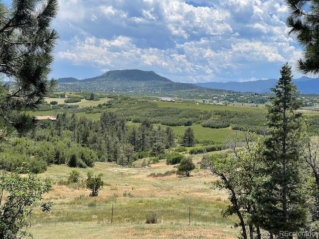 Photo of Listing #1618698