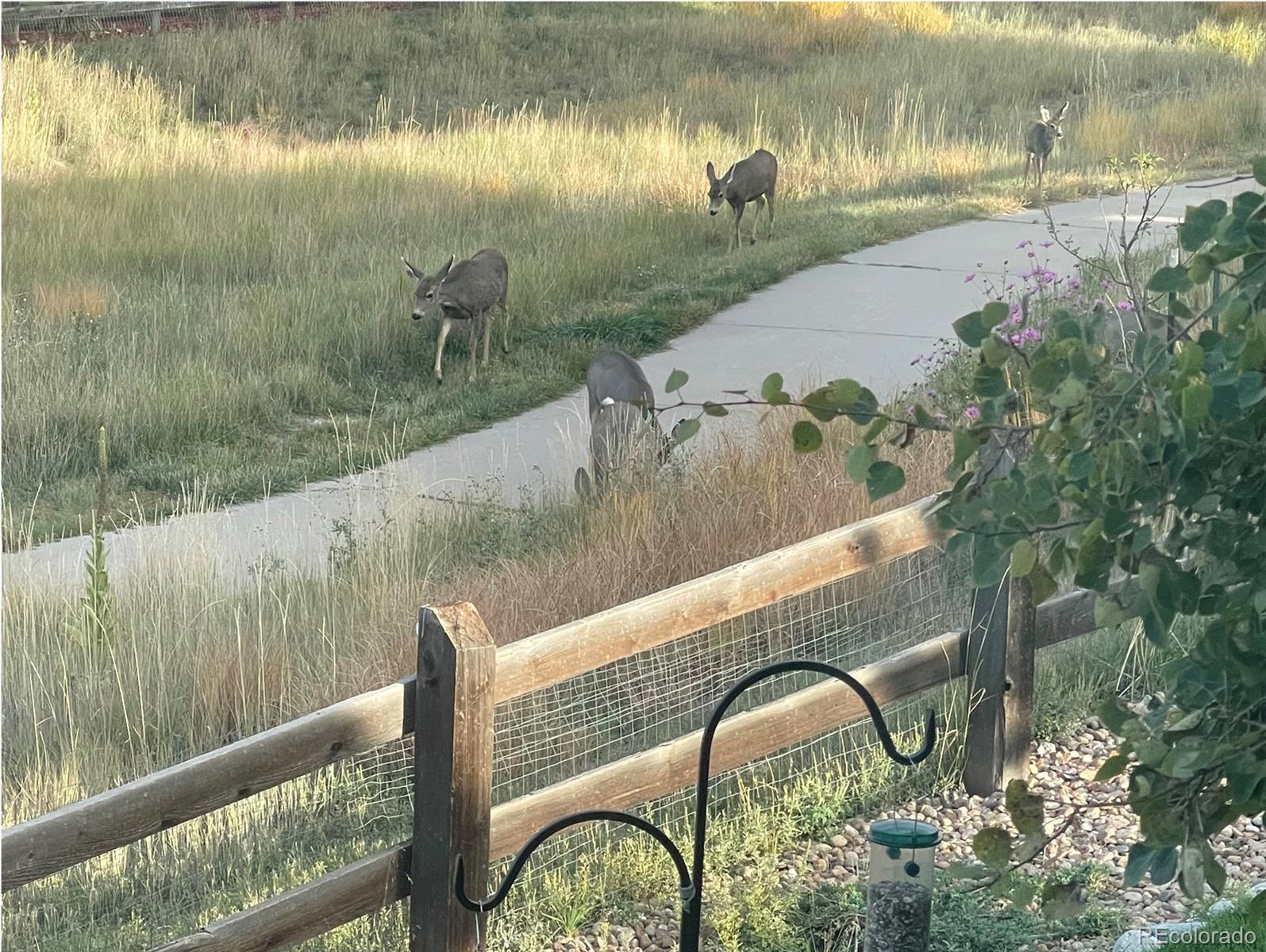 Photo of Listing #2500727