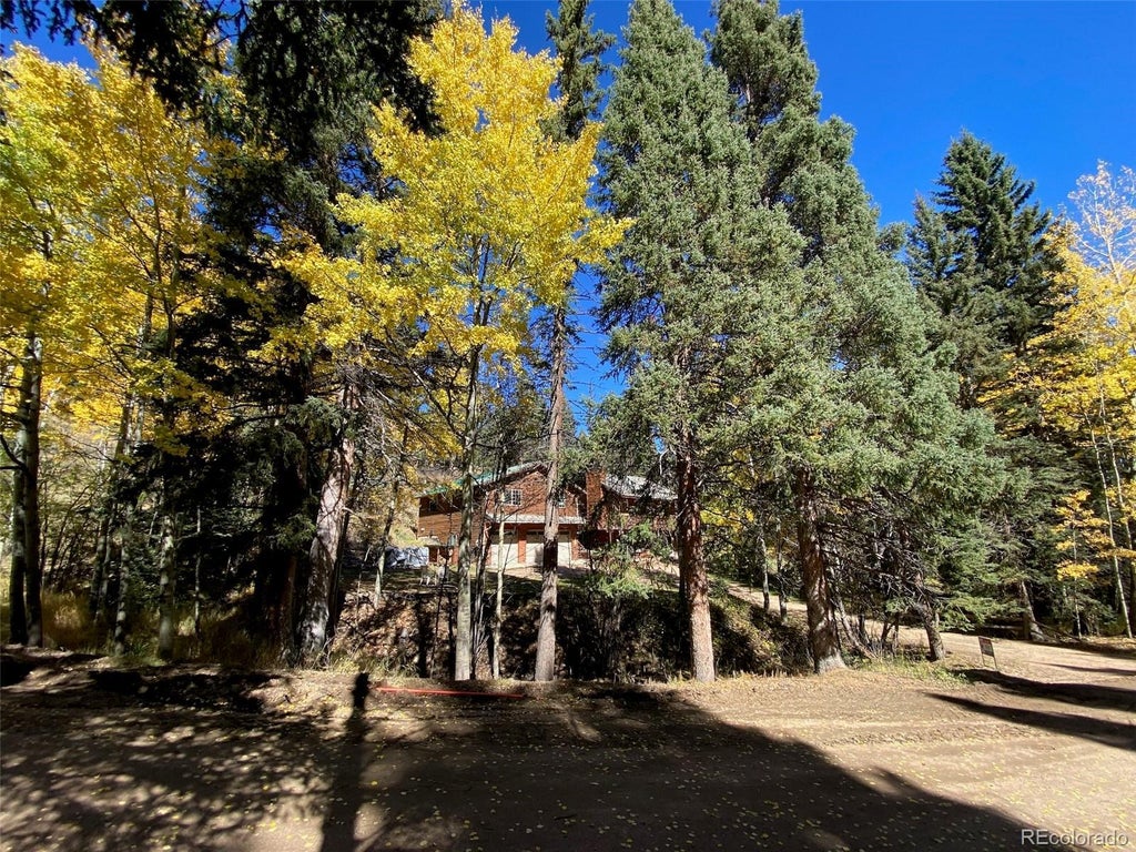 11182 S Barney Gulch Road, Conifer