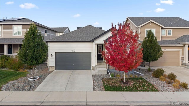 5347 Gray Wolf Lane, Castle Rock