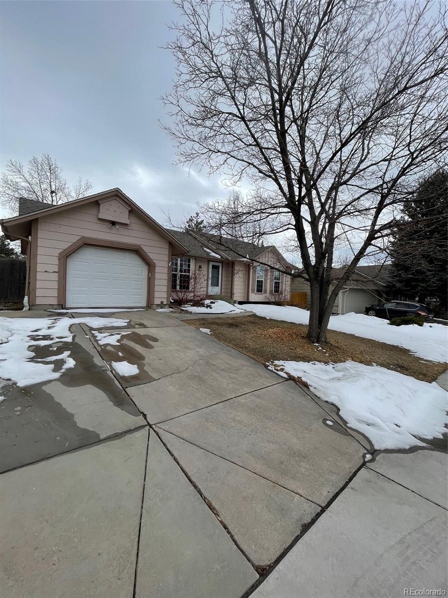 Photo of Listing #3299146