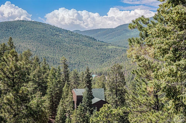 32783 Lodgepole Circle, Evergreen