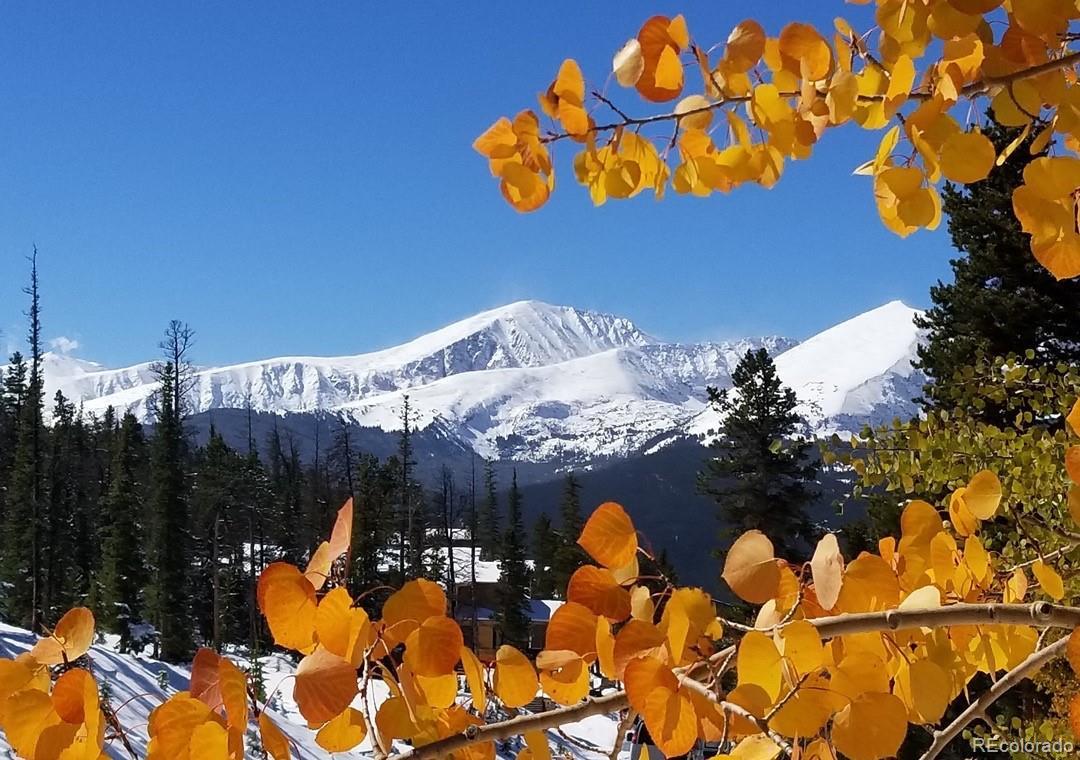 Photo of Listing #3933799